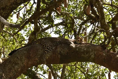 DSC_3993 (Large).JPG